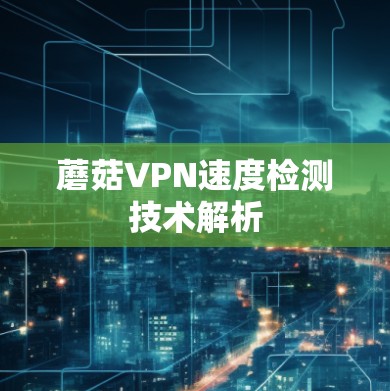 蘑菇VPN速度检测技术解析
