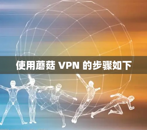 使用蘑菇 VPN 的步骤如下
