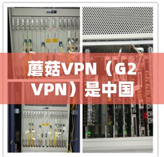 蘑菇VPN（G2VPN）是中国市场上提供VPN服务的主要平台之一，特别针对中国用户。如果你需要VPN服务，蘑菇VPN可以提供机场节点或高速服务器。以下是一些推荐的机场节点和高速服务器