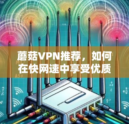 蘑菇VPN推荐，如何在快网速中享受优质服务