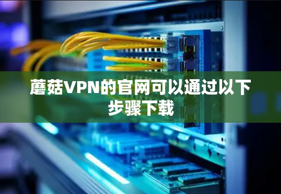 蘑菇VPN的官网可以通过以下步骤下载