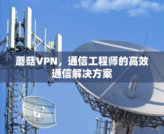 蘑菇VPN，通信工程师的高效通信解决方案