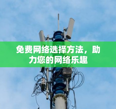 免费网络选择方法,助力您的网络乐趣